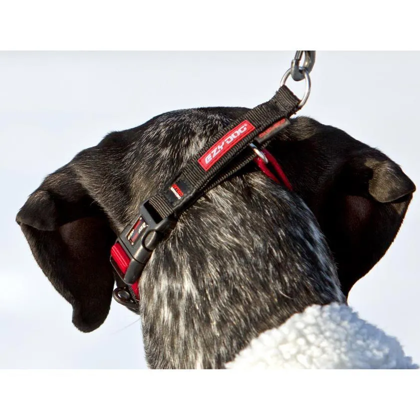 EzyDog Checkmate Dog Collar Black Medium